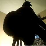 sw33tchubfr3ak
