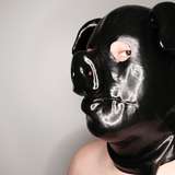big_buddha_bear