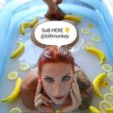 lollimonkey_free