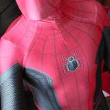 spideymark