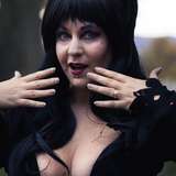 stardustdemona