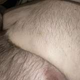 superchubuk