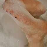 sweetfeetbubble
