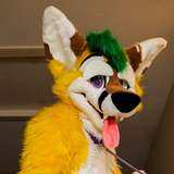 thepineapplefox