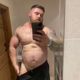 alpha_bear_al