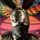 king_blackrabbit