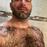 furrybbear
