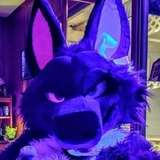 purplehuskymurr