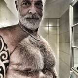 silverfox.2.0