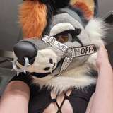 hellhoundxo