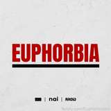 Euphorbiabkk