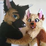 knottysheps