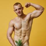 seanspicyfree