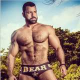 luizbear88