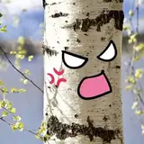 VengefulBirch