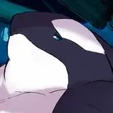 yuuya