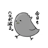 sasamidori
