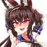 輝龍やよい